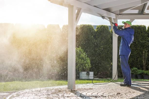 Best Gutter Cleaning  in Wooster, AR